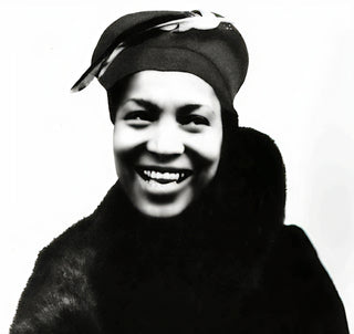 Jump at de Sun: The Life of Zora Neale Hurston