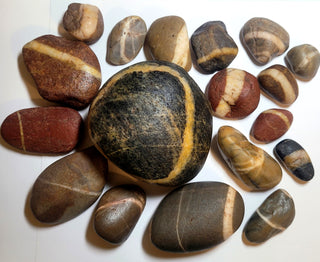 Stones and Fossils