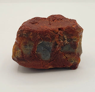 Raw, Fossilized Petrified Wood Cemetery Stone