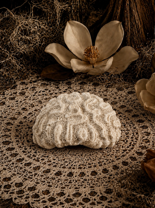 Decorative brain coral with textured surface on a lace doily with flowers in the background