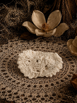 Decorative ciral and magnoliw flower on a textured surface
