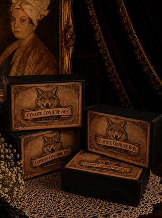 Four black rectangular boxes labeled 'Coyote Conjure Box' with a brown coyote illustration and decorative border, arranged on a lace surface in a dark, vintage-style setting with a framed portrait and dark curtain in the background.