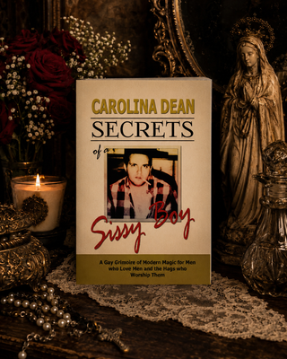 Book titled 'Secrets of a Sissy Boy' by Carolina Dean on a dark background with decorative items.
