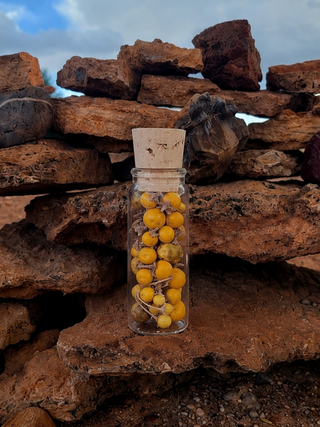 A clear glass bottle with a cork stopper filled with small yellow round berries, placed on a large brown rock in front of a stacked stone wall under a cloudy sky.