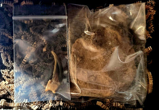 Limited Edition Coyote Conjure Box