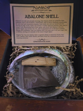 Abalone Shell (4)