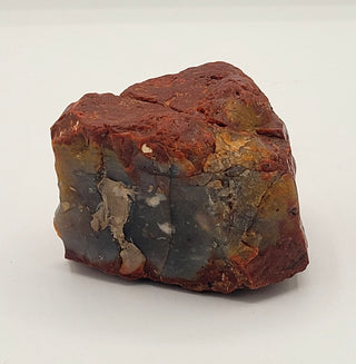 Raw, Fossilized Petrified Wood Cemetery Stone