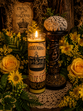 Gorgeous Brain Coral Altar Piece