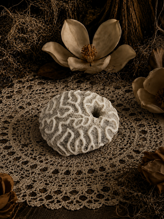 Genuine Brain Coral Altar Piece, Stunning