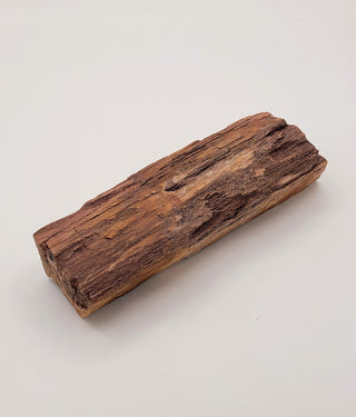 One-of-a-Kind Petrified Wood Specimen