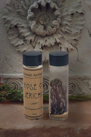 Rose of Jericho Oil